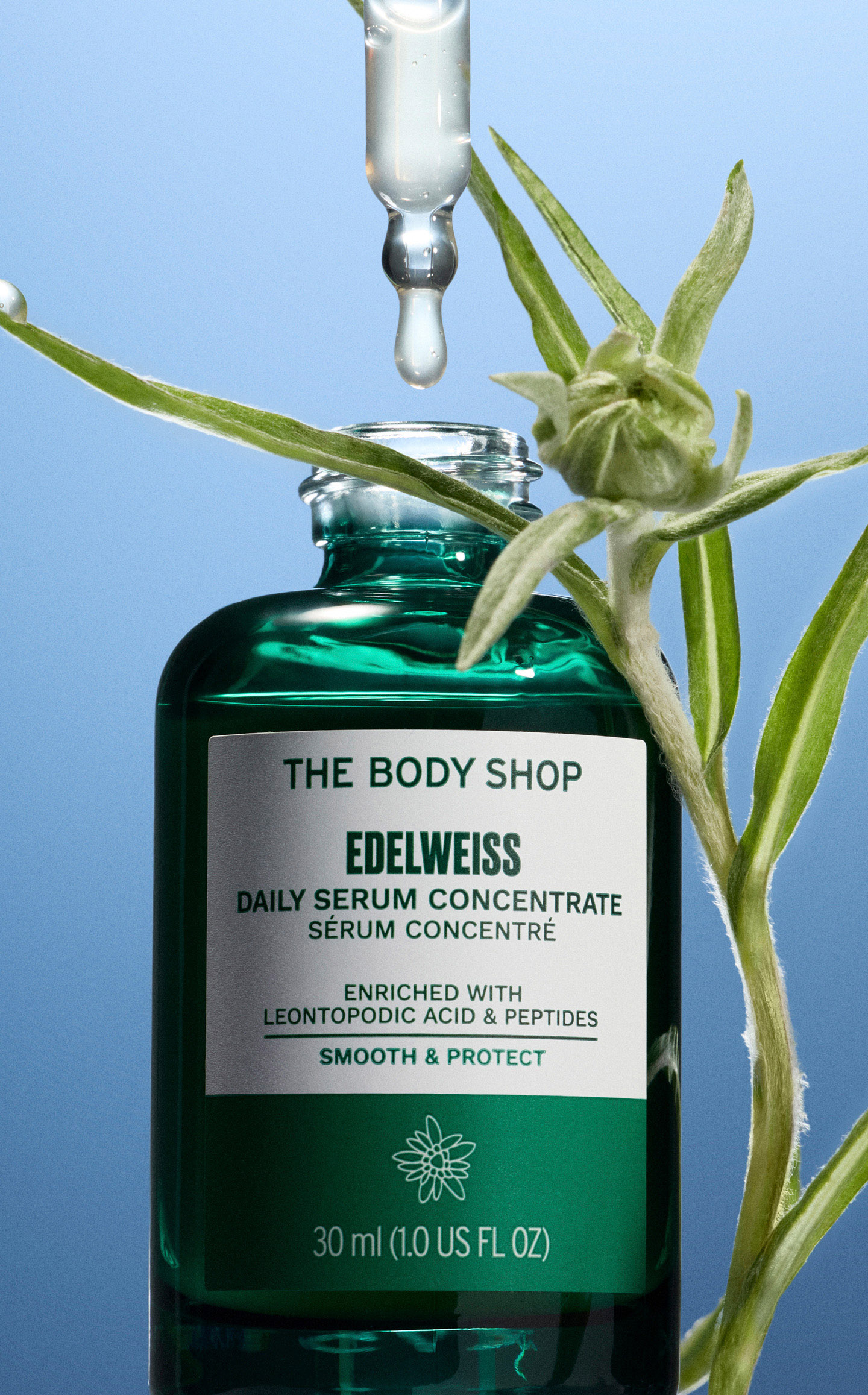Body Shop Heroes 5