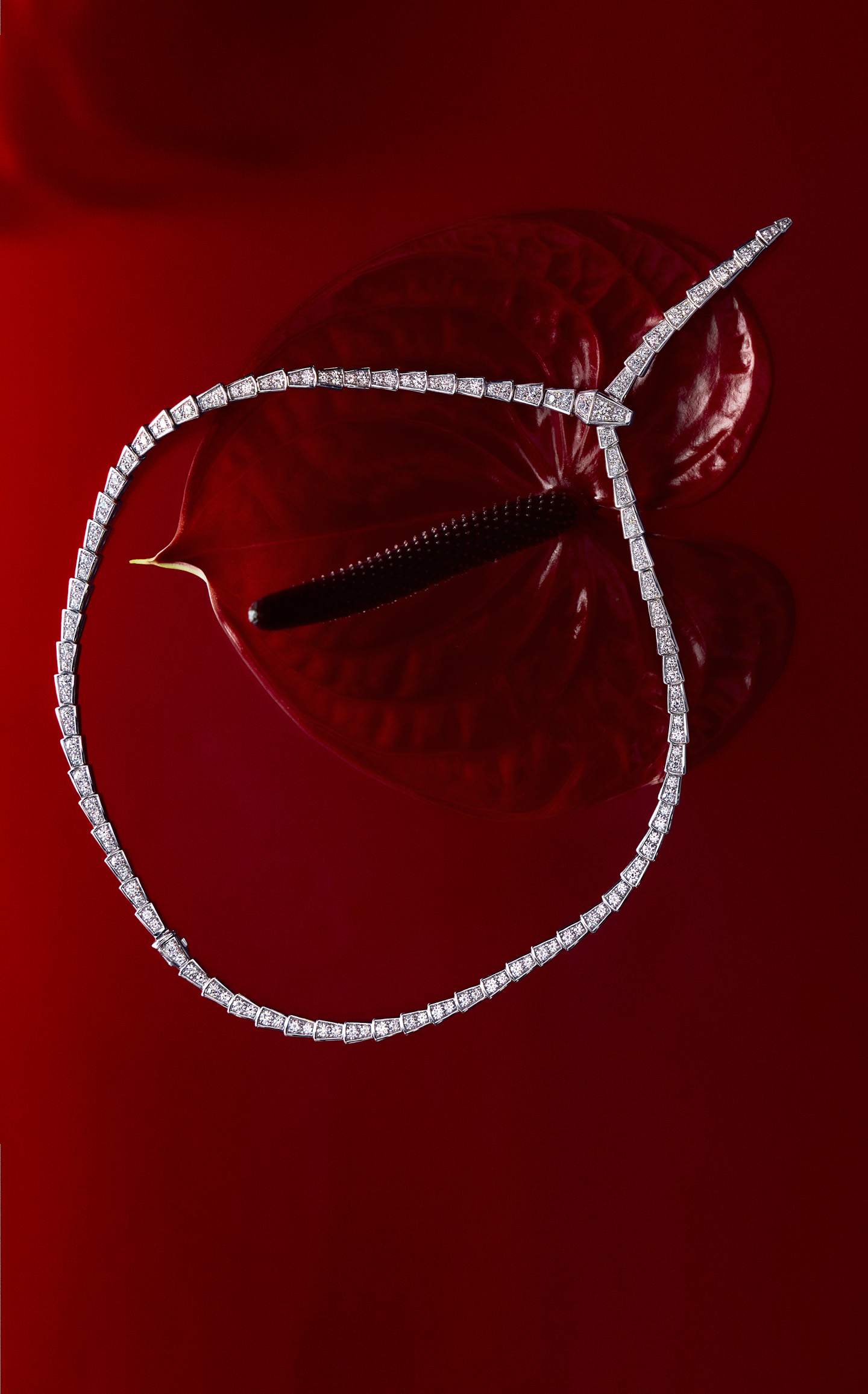 Jewellery 2